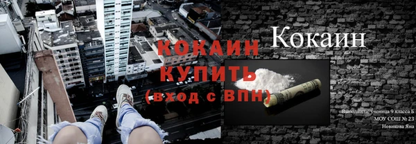 индика Заводоуковск